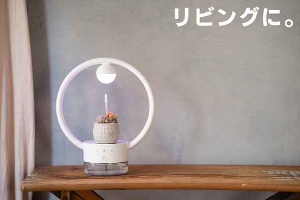 多肉植物を飾るテーブルランプ "TANIQUE"