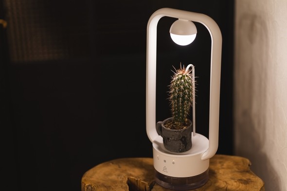 多肉植物を飾るテーブルランプ "TANIQUE"