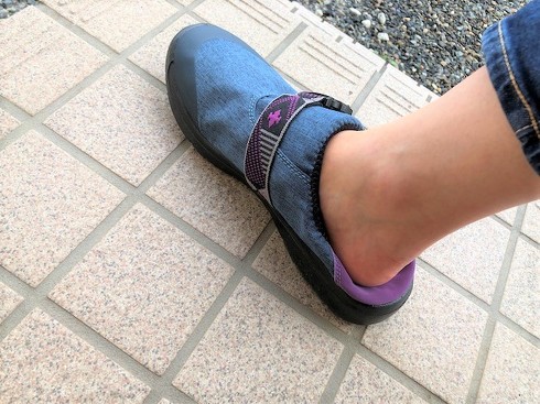 フォト