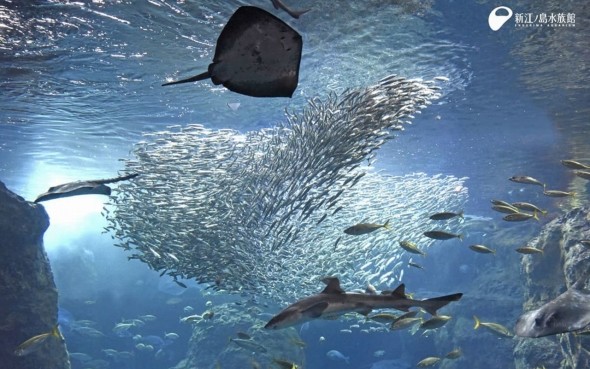 新江ノ島水族館