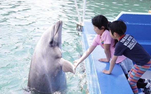 下田海中水族館