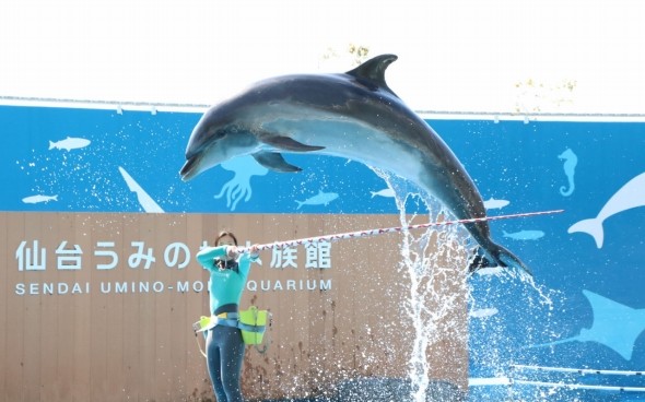 仙台うみの杜水族館