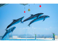 「EPARKおでかけ」人気スポットランキング 水族館編 あの水族館が1位に 期間限定イベントなども要チェック【2022年7月版】