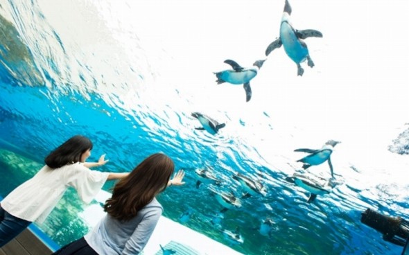 サンシャイン水族館
