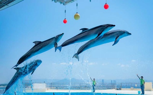 マリンワールド海の中道