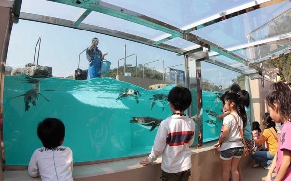 9位 下田海中水族館