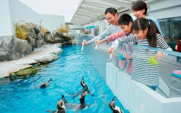 8位 仙台うみの杜水族館
