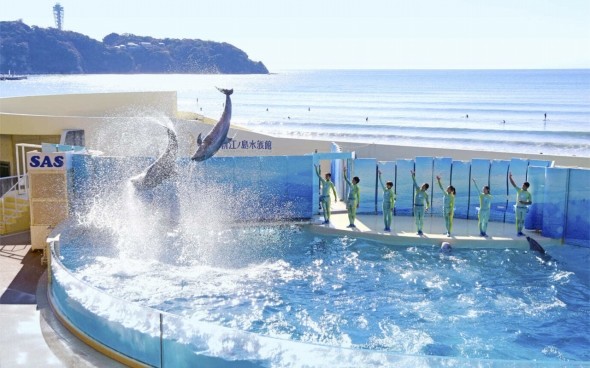 3位 新江ノ島水族館