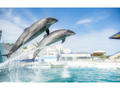 「EPARKおでかけ」人気スポットランキング 水族館編 夏はやっぱり水族館! 期間限定イベントも【2022年8月版】