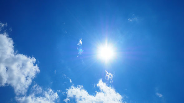 夏本番です