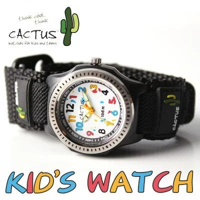 CACTUS(カクタス)