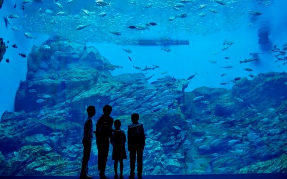 仙台うみの杜水族館