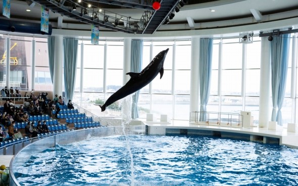 アクアワールド茨城県大洗水族館