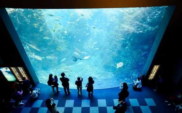 新江ノ島水族館