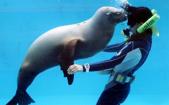 下田海中水族館