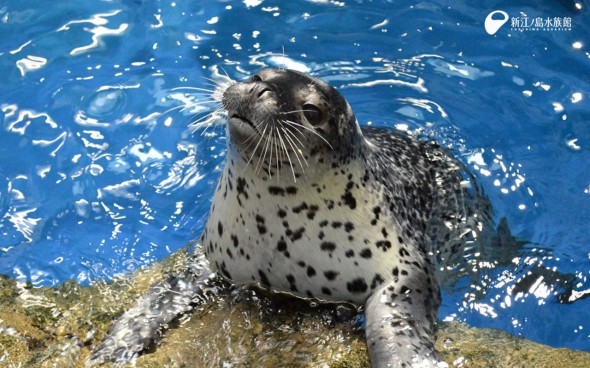 新江ノ島水族館