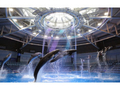 人気の「水族館」10選 世界初展示のオトヒメクラゲや、「あつまれ どうぶつの森」特製マイデザインも 「EPARKおでかけ」でチェック!