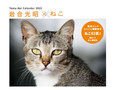 「2023年カレンダー」売れ筋ランキング ちいかわやリラックマなど、人気キャラクターが上位にランクイン かわいい猫のカレンダーも人気【2022年9月版】