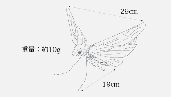 「MetaFly」