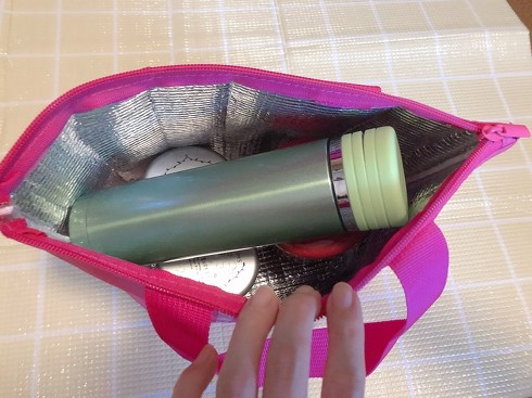 宝島社「保冷機能付きミニバッグ」