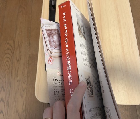 宝島社「ルイス・キャロルとアリスの不思議な世界 じゃばらポーチ」