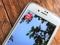 「PayPay」をお得に使う5原則！　使う前に知っておきたいコツを紹介　キャッシュレス決済でお得に買い物を楽しもう
