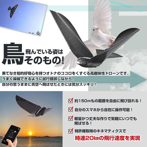 ラジコン飛行機：”鳥型”はプロペラレスで安全性が高い