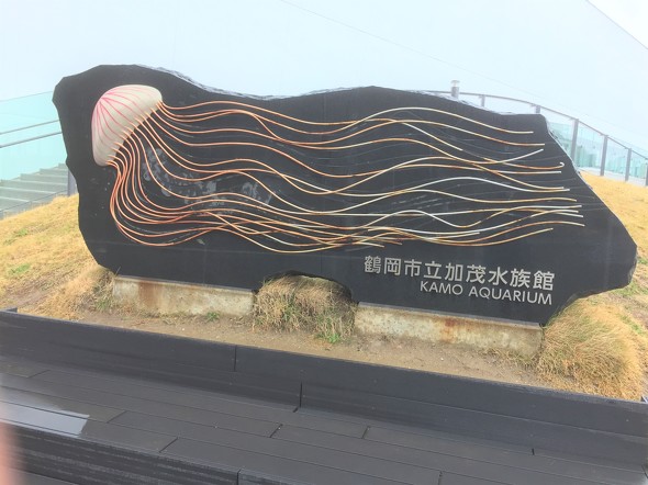 フォト