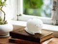 「付録付き本」人気ランキングトップ10 「うさまる」のかわいいライトが第1位! ココイチのお得なクーポン付きファンブックも要チェック!【2023年1月版】