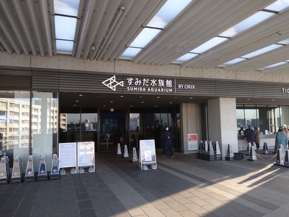 すみだ水族館に入ると「さかな〜」「チンアナゴ〜」の名言が聞こえてきた……
