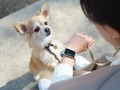 1万円台以下の「スマートウォッチ」「スマートバンド」おすすめ5選　新製品「OPPO Band 2」が話題！　シャオミの新モデルも予約販売スタート【2023年1月版】