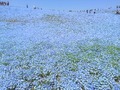 【観光】「ガールズ&パンツァー」の聖地巡礼もできる! 「茨城県」のおすすめ観光スポット4選 実際に行ったら、おいしい&美しい&楽しいがたくさんあった!