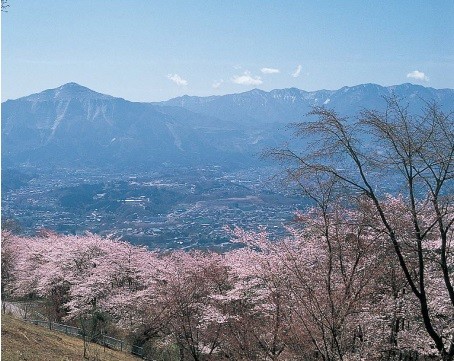関東のお花見登山スポット