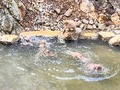 「長野県」の観光スポット＆グルメ＆ホテル・旅館10選　北部中心におすすめの地を紹介　家族で楽しめるスポットがたくさん！