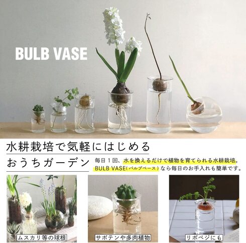 SPICE OF LIFE(スパイス)「MINI BULB VASE KEGY4053」