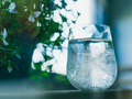 「炭酸水」売れ筋ランキング＆おすすめピックアップ　爽やかな刺激がうれしい季節になりました！【2023年4月】