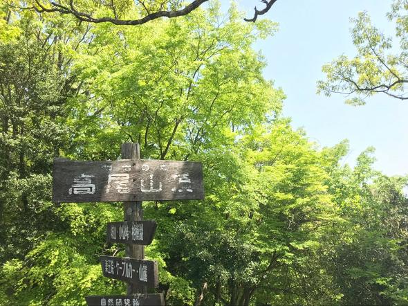 高尾山