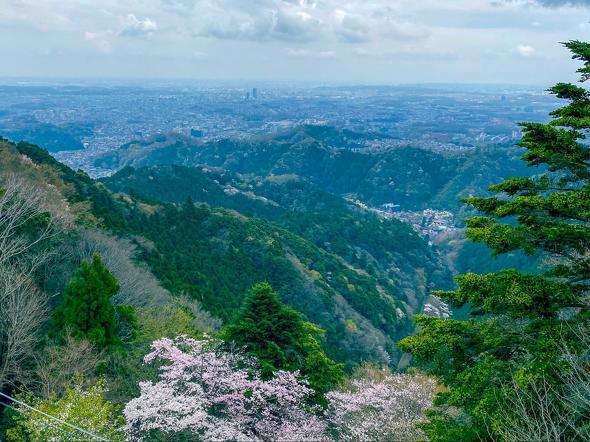 高尾山