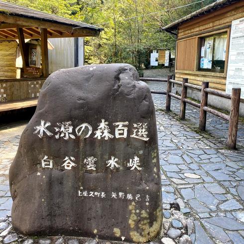 屋久島・白谷雲水峡