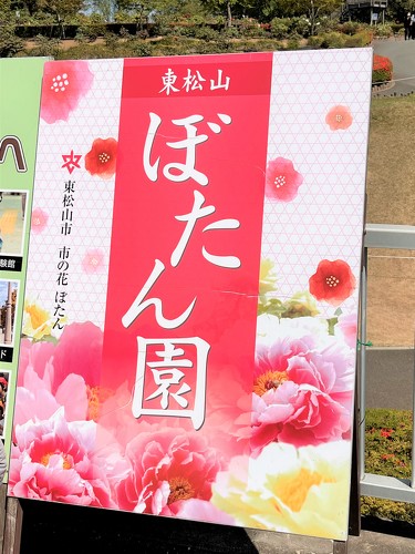 フォト