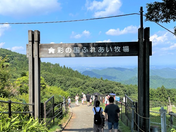 フォト