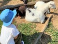 【埼玉県】子連れにおすすめの「格安スポット」5選　無料＆安いのに1日遊べる！　GWは穴場スポットで楽しもう