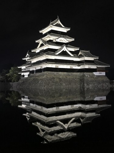フォト