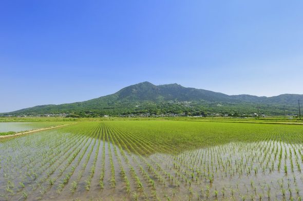 東京近郊登山スポット