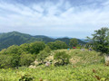 「東京近郊登山スポット」おすすめ5選 都心から気軽に行けて、自然や景色を満喫できる【2023年5月版】