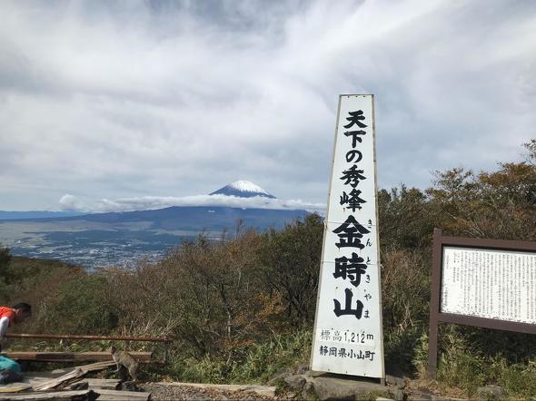 アジサイが名物の山