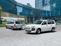 【隠れた名車】トヨタ・プロボックス　維持費が安くアウトドアにも活躍！　「公道最速」といわれる高い走行性能も魅力