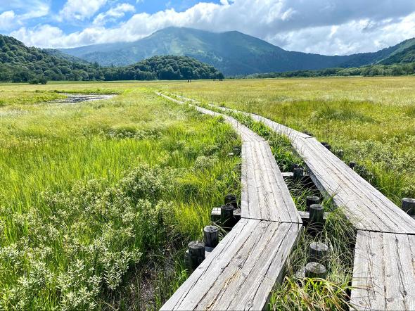 夏休み登山