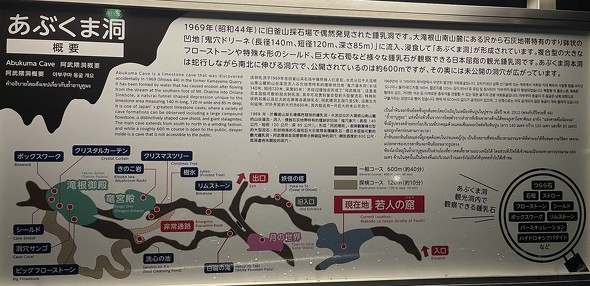 フォト