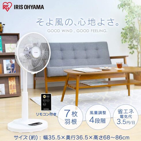 アイリスオーヤマ「扇風機 LFD-306L」